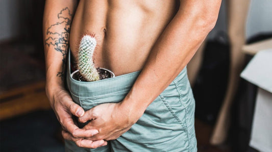 What is an erection & How To Get A Better Erection.