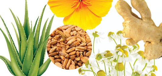 Natural Home Remedies For Male Enhancement.
