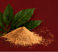 Botanical artwork for Citropsis articulata and Cola acuminata background